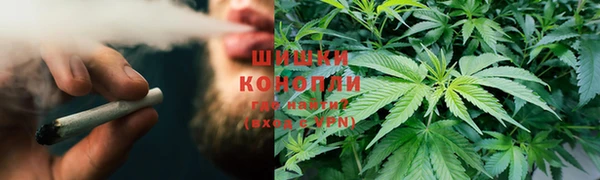 прущие грибы Заволжск