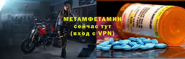 прущие грибы Заволжск