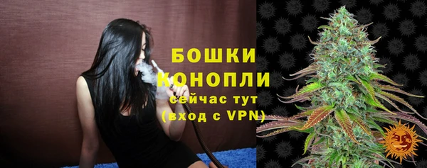 spice Заводоуковск