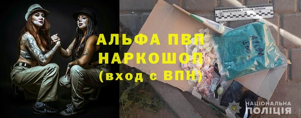прущие грибы Заволжск