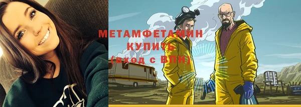 прущие грибы Заволжск