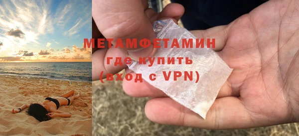 прущие грибы Заволжск