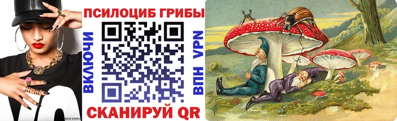где можно купить наркотик  Каргополь  Галлюциногенные грибы Magic Shrooms 
